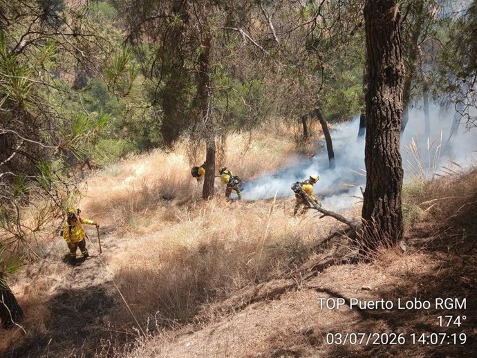 Incendio forestal en el Sacromonte.