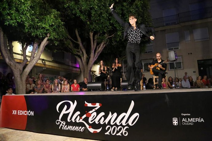 El bailaor Manuel Daif durante su actuación.