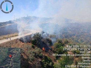 Incendio forestal declarado en el término municipal de Villanueva del Río y Minas (Sevilla) este sábado 4.