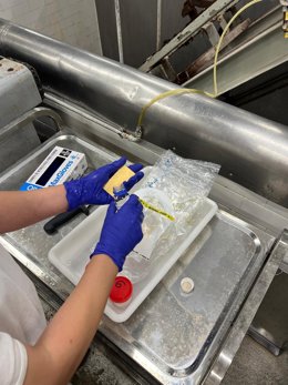 La Consejería de Salud realizó más de 2.000 análisis durante 2025 para prevenir, vigilar y detectar la presencia de salmonela en alimentos