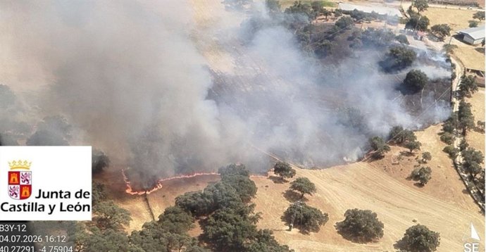 Declarado un incendio forestal de gravedad 1 en Casavieja (Ávila)