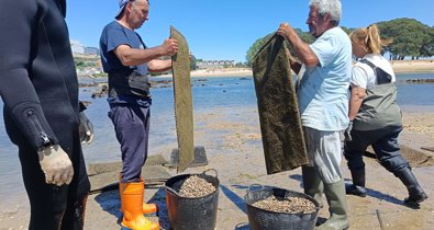 Pesca Galicia