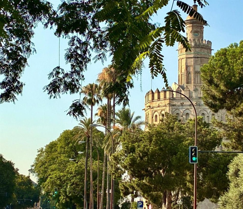 Semáforo en Sevilla