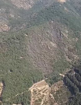Zona afectada por un incendio forestal declarado en Tornavacas (Cáceres), a 5 de julio de 2026.