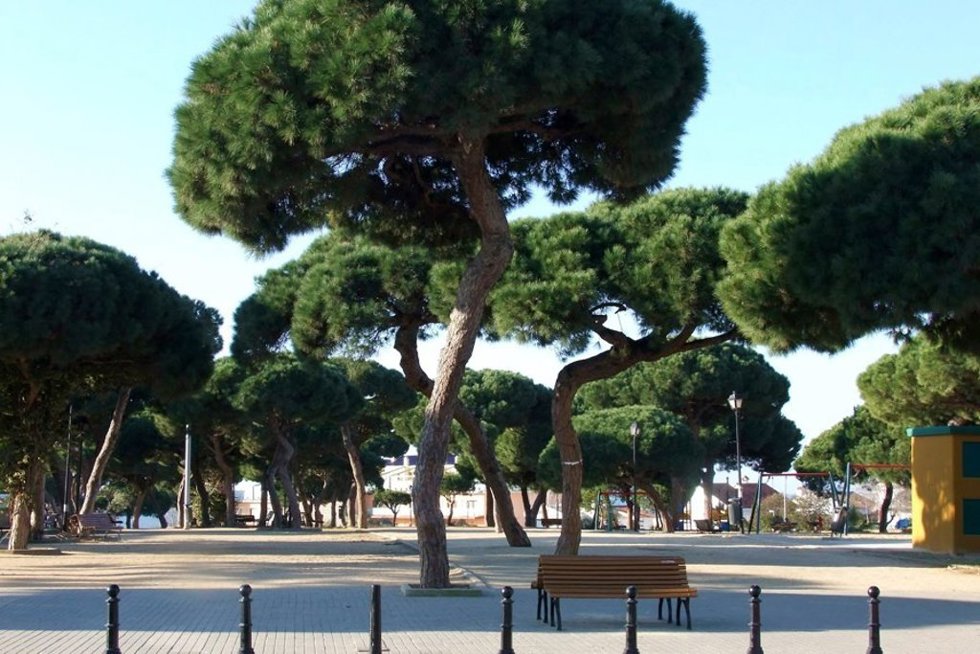 Mazagón.