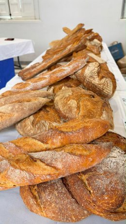 Algunos de los panes elaborados en la primera edición del concurso 50 Panaderos Top de España, celebrada en 2025 en Valladolid