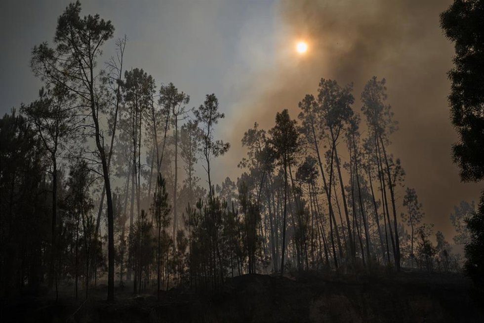 Archivo - Incendio en Portugal (archivo)