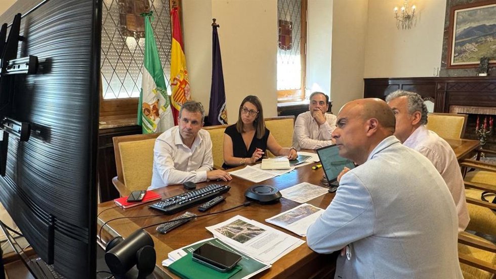 El alcalde de Jaén, Julio Millán, junto a la segunda teniente de alcalde, África Colomo, y el concejal de Medio Ambiente y Patrimonio, José María Cano, durante la reunión telemática.