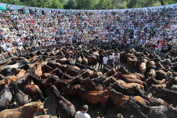 Rapa das Bestas de Sabucedo, declarada de Interés Turístico Internacional