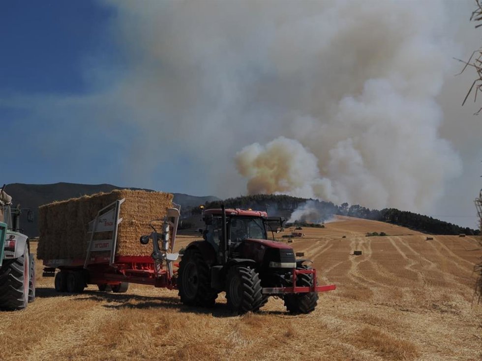 Declarado un incendio forestal entre Imarocain y Beriáin.