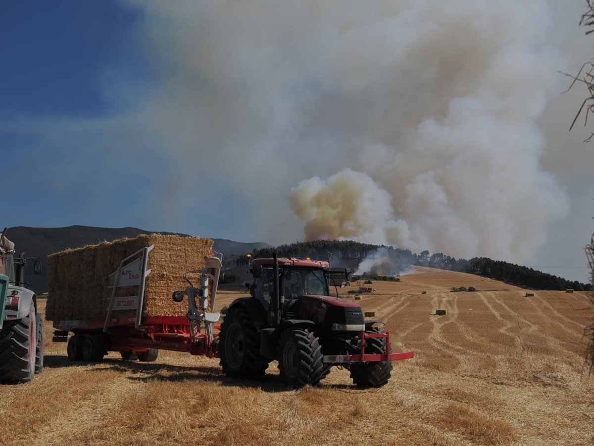 Aviones de carga en tierra del MITECO, en Agoncillo, ayudan a sofocar un incendio forestal en Imárcoain