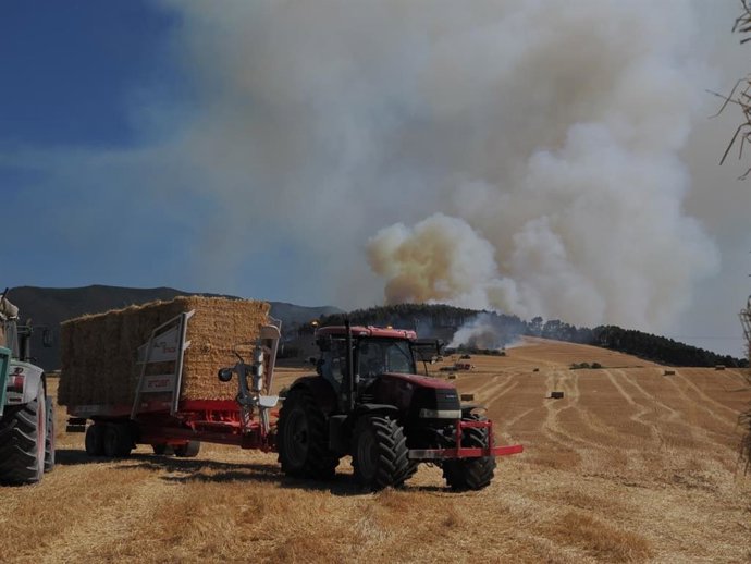 Declarado un incendio forestal entre Imarocain y Beriáin.
