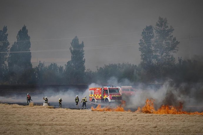 Bomberos trabajan en la extinción del incendio forestal de Imárcoain, a 5 de julio de 2026, en Imárcoain, Valle de Elorz, Navarra (España).