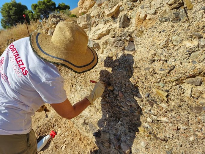 Trabajos de conservación preventiva de las torres albarranas del Camino del Castillejo