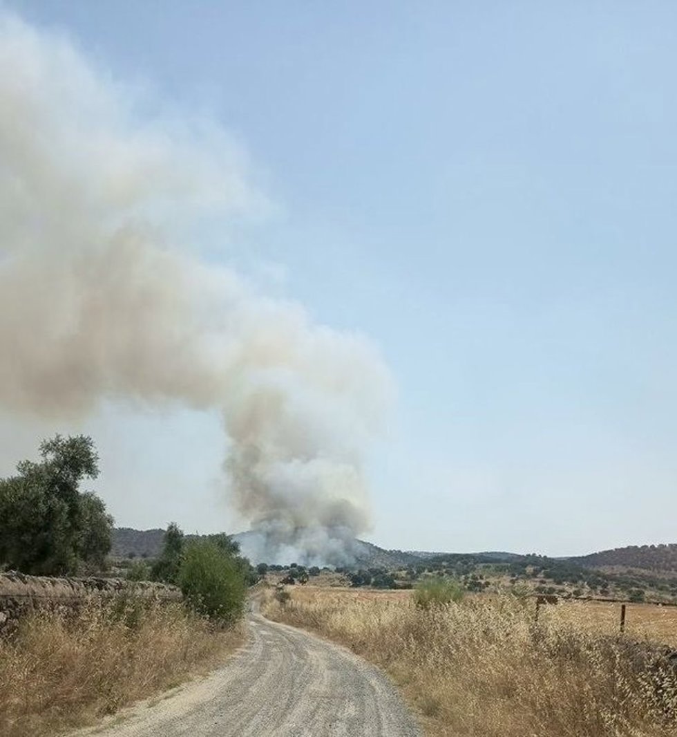 Incendio forestal en Jerez de los Caballeros (Badajoz) originado el 6 de julio de 2026