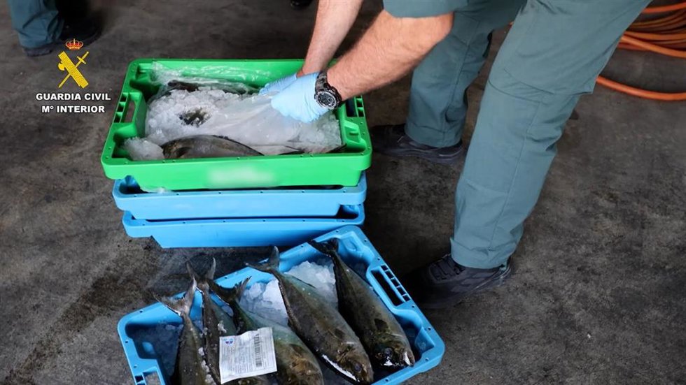 Pescado intervenido
