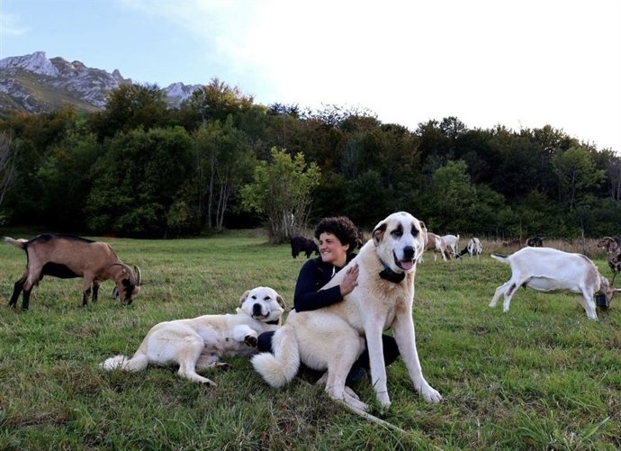 La vicepresidenta de la DOP Cabrales, Jéssica López.