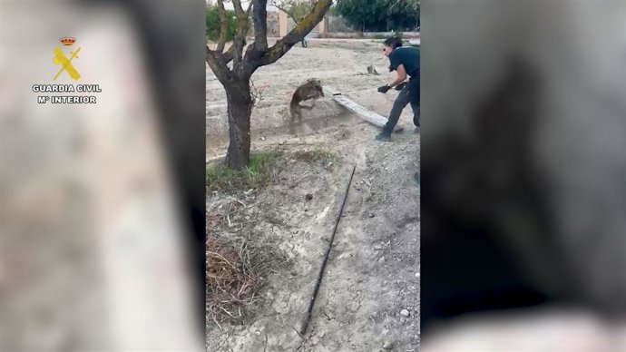 Rescate del animal