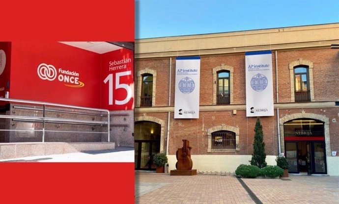 Ap institute y Fundación ONCE impulsan la formación inclusiva en asuntos públicos