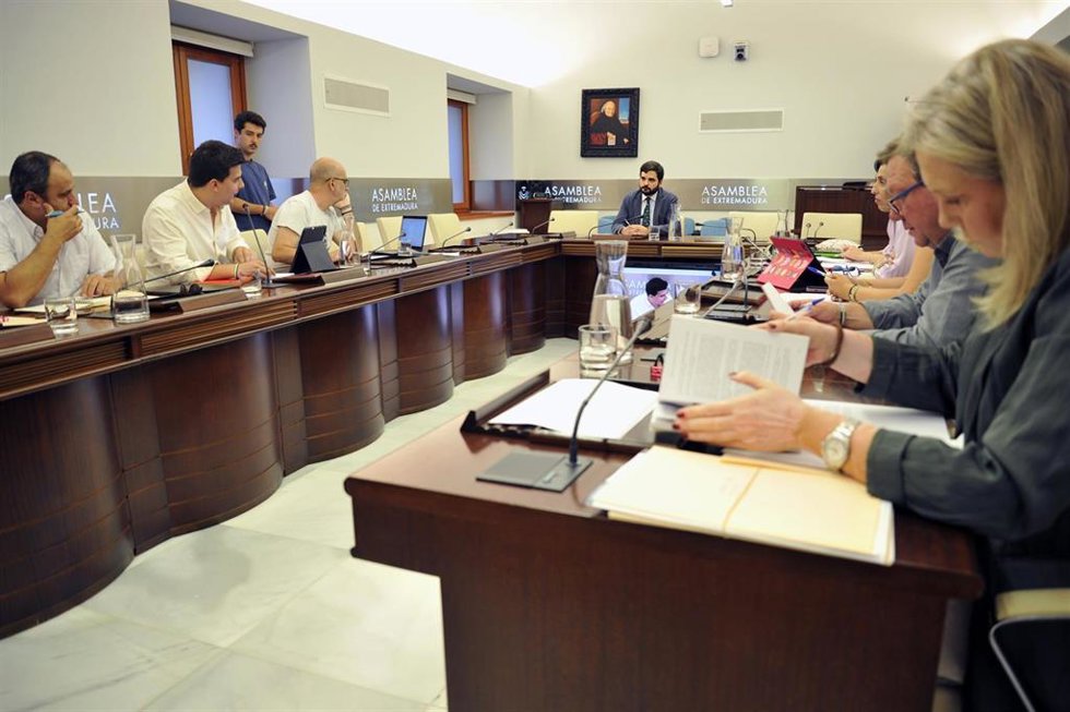El director general de Servicios Sociales, Infancia y Familia de la Junta, Eliseo Fernández, en comisión de la Asamblea