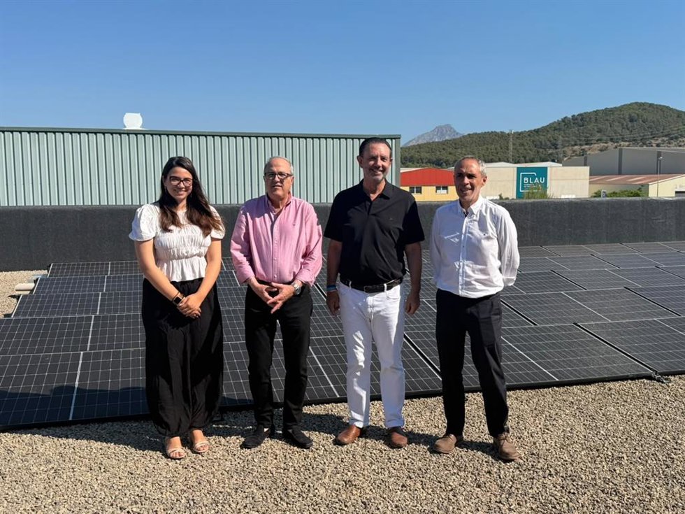 Instalación fotovoltaica en IB3