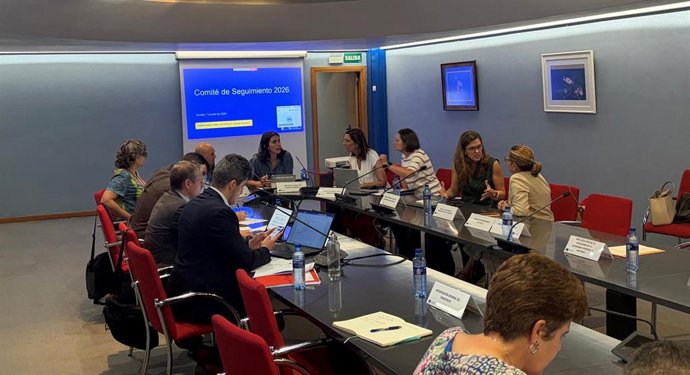 La directora general de Asuntos Europeos, Raquel García  presidiendo la reunión del comité de seguimiento.