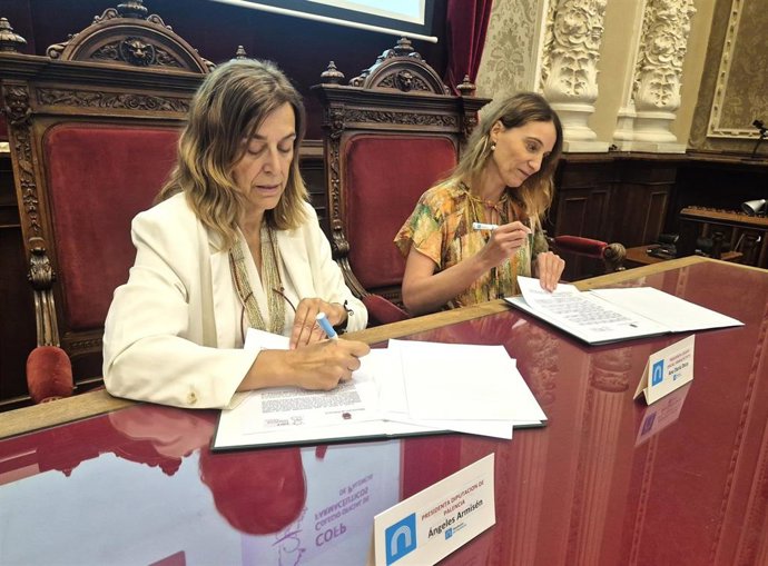 El programa 'Unidosis' de Diputación de Palencia y los farmacéuticos llegó a 291 usuarios este año.