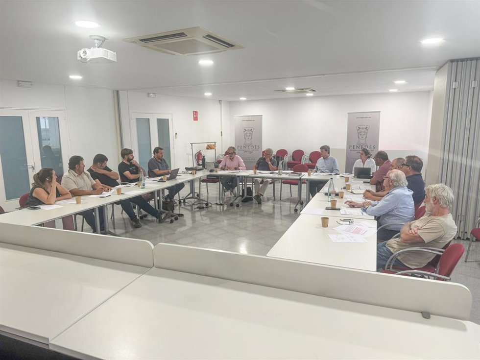 Imagen de la reunión