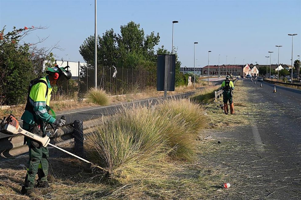 Trabajos de desbroce en carreteras de Jerez.