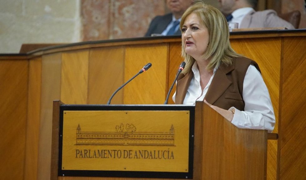 La parlamentaria andaluza del Partido Popular de Granada Celia Santiago.