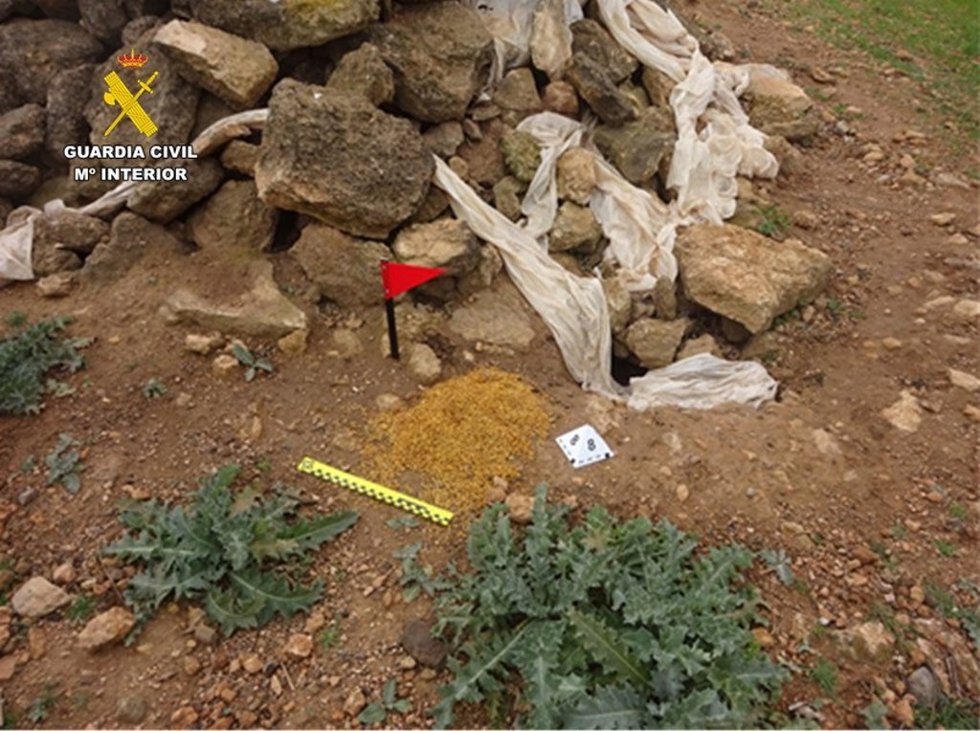 El Seprona de la Guardia Civil de Ciudad Real investiga a tres personas por delitos contra la fauna y flora.