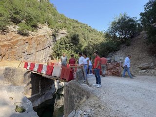 Visita al sendero que discurre por la pista forestal del río Borosa.