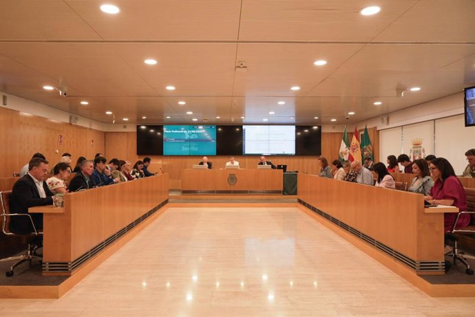 Pleno de la Diputación de Sevilla como imagen de recurso