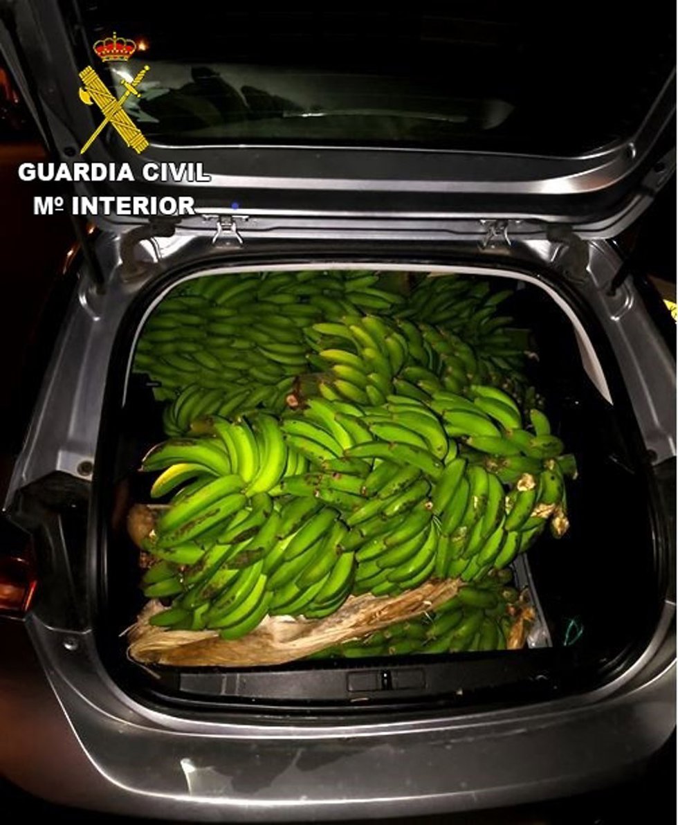 Suc.- Investigadas en Tenerife siete personas acusadas de robar 950 kilos de aguacates y 280 kilos de plátanos