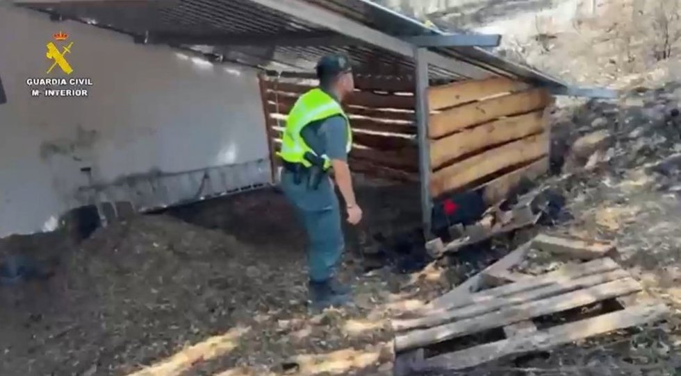 Un agente de la Guardia Civil inspecciona el lugar del posible origen del incendio de Grazalema.