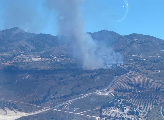Incendio forestal declarado en la diputación lorquina de Aguaderas
