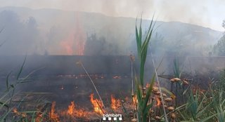 L'incendi de vegetació a Martorell (Barcelona)