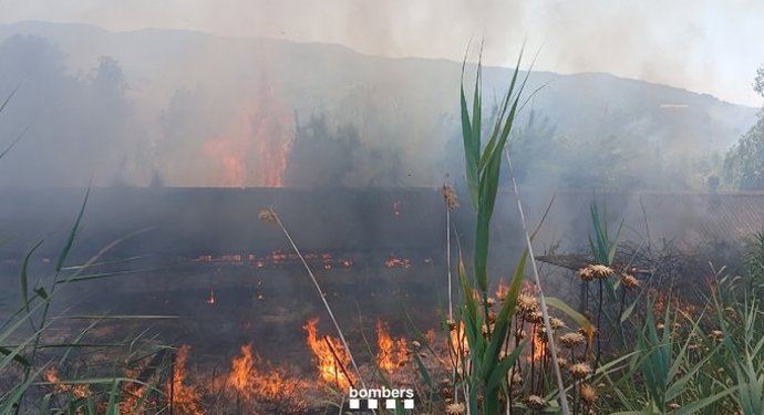 L'incendi de vegetació a Martorell (Barcelona)