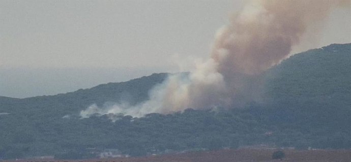 Incendio en la zona de Los Visos en Barbate.
