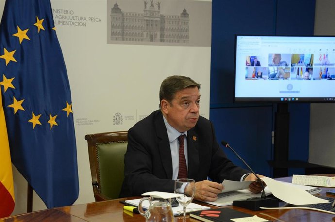 Archivo - El ministro de Agricultura, Pesca y Alimentación, Luis Planas, preside por videoconferencia la Conferencia Sectorial de Agricultura y Desarrollo Rural