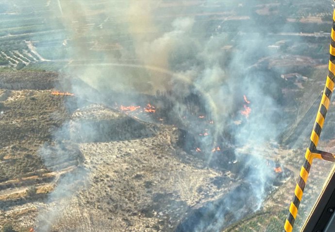 Efectivos del Plan Infomur combaten un incendio forestal en Villanueva del Río Segura
