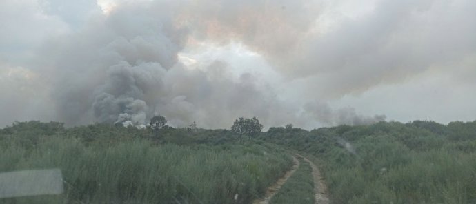 Declarado gravedad 1 en un incendio forestal en Espina de Tremor (León) en el que trabajan doce medios