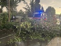 Los Bomberos de la Comunidad realizan 92 intervenciones durante la tormenta de este martes