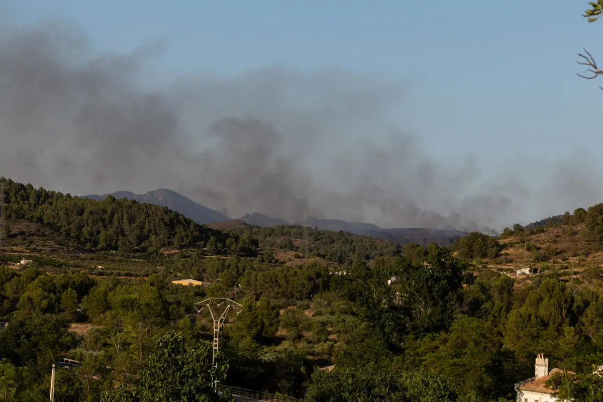 Incendio en Soneja