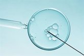 Foto: La fecundación 'in vitro' alcanza sus mejores resultados: hasta un 68% de éxito en tres ciclos