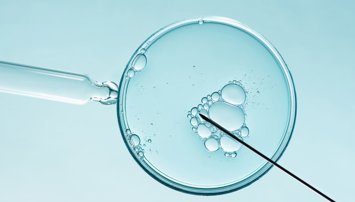 Investigación
