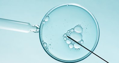 Investigación