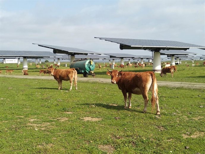 Proyecto solar