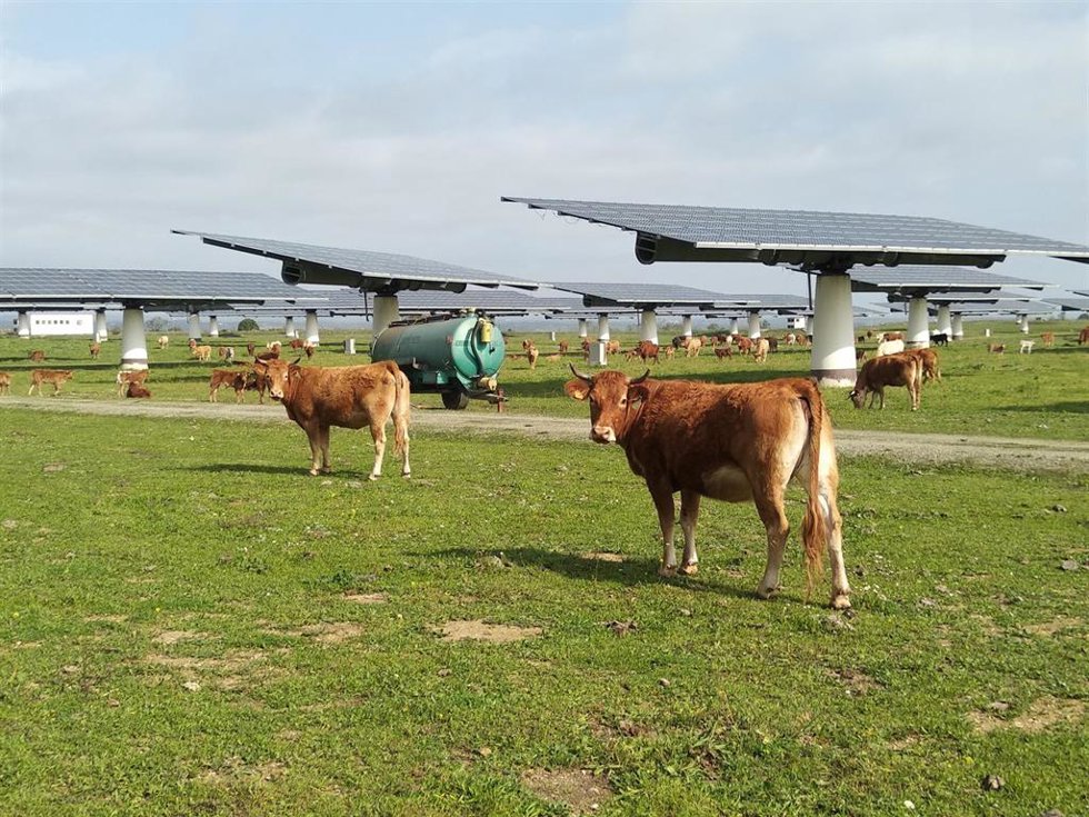 Proyecto solar