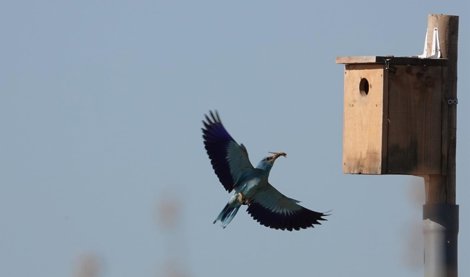 Es Andalucía - Huelva